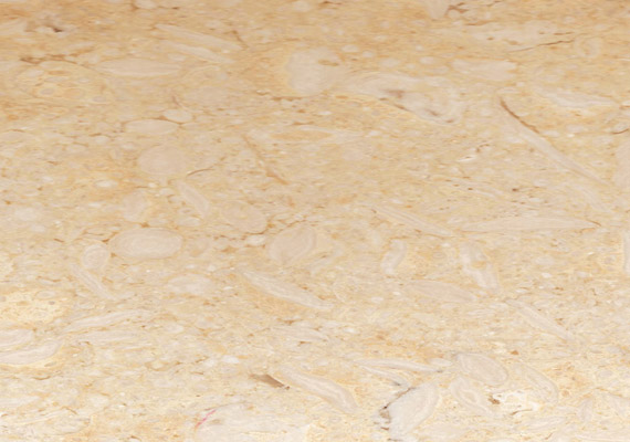 Samaha Marble